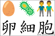 卵細胞 對應Emoji 🥚 🦠 👬  的對照PNG圖片