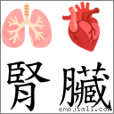 肾臟 对应Emoji 🫁 🫀  的对照PNG图片