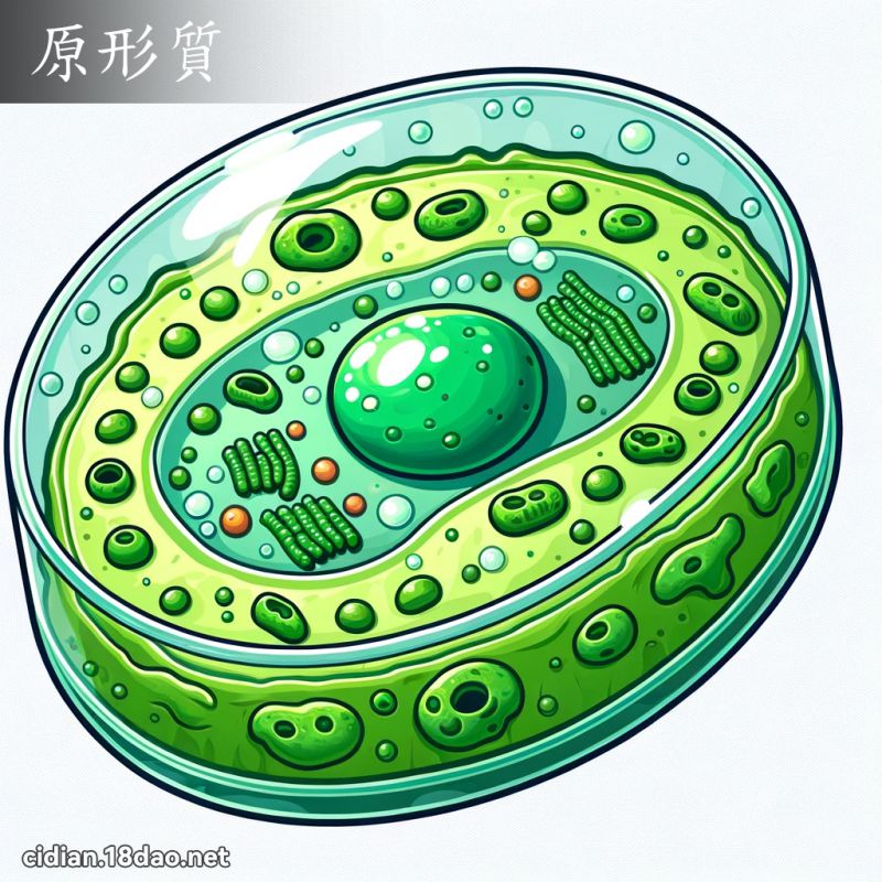 原形质 - 国语辞典配图