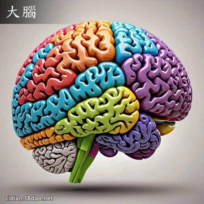 大脑 - 国语辞典配图