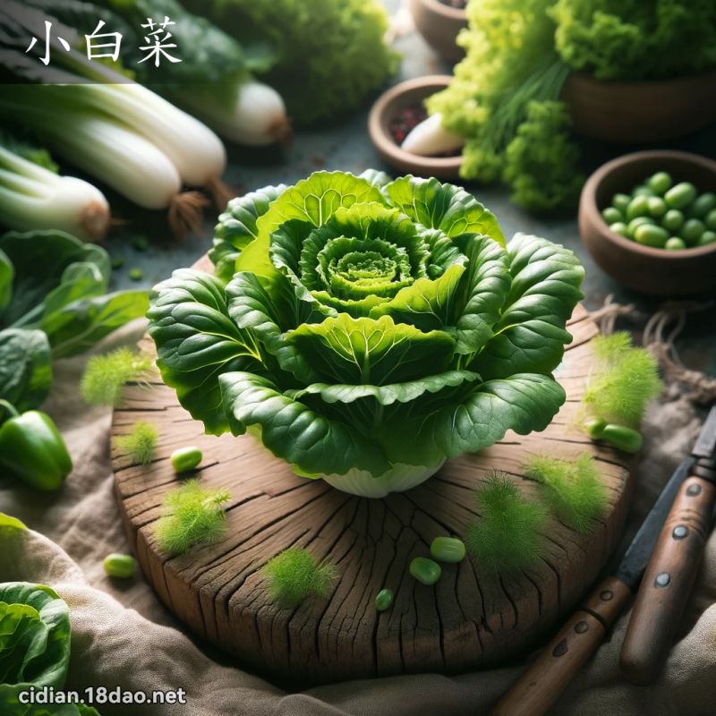 小白菜 - 國語辭典配圖