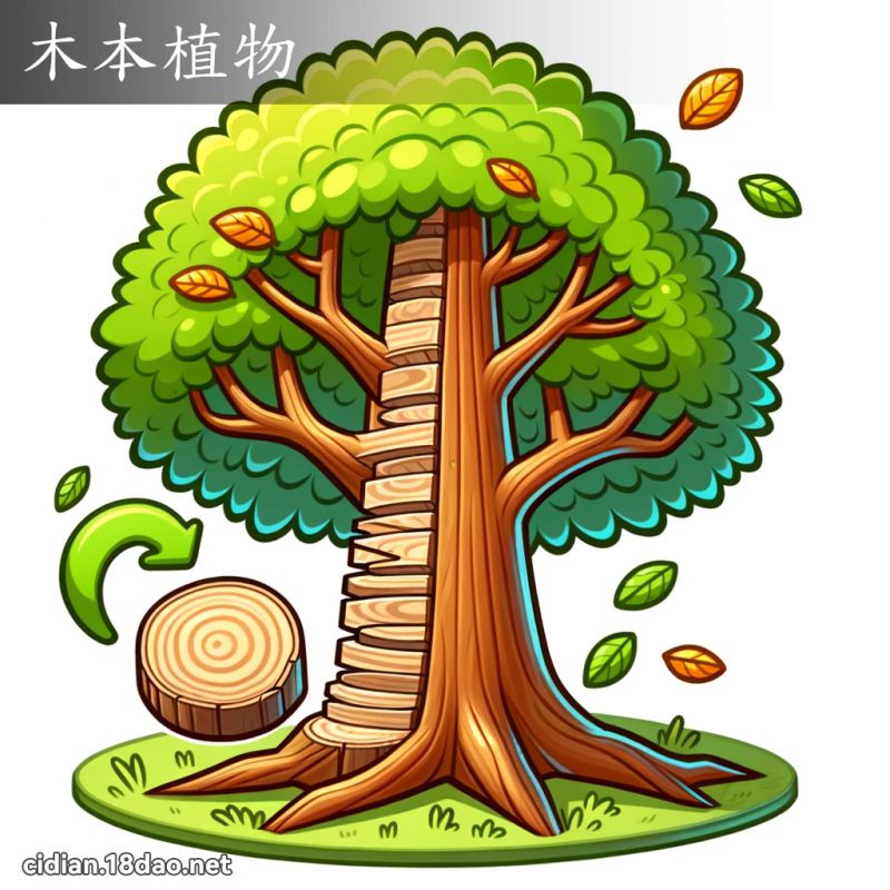 木本植物 - 国语辞典配图