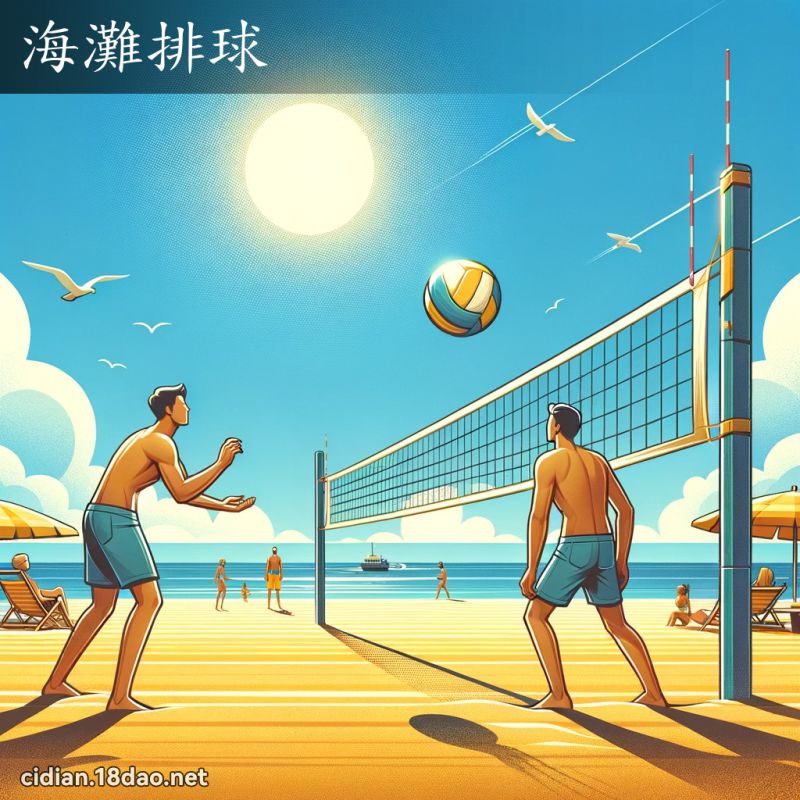 海灘排球 - 國語辭典配圖