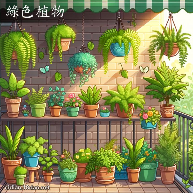 綠色植物 - 國語辭典配圖