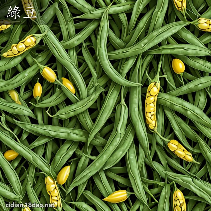 绿豆 - 国语辞典配图