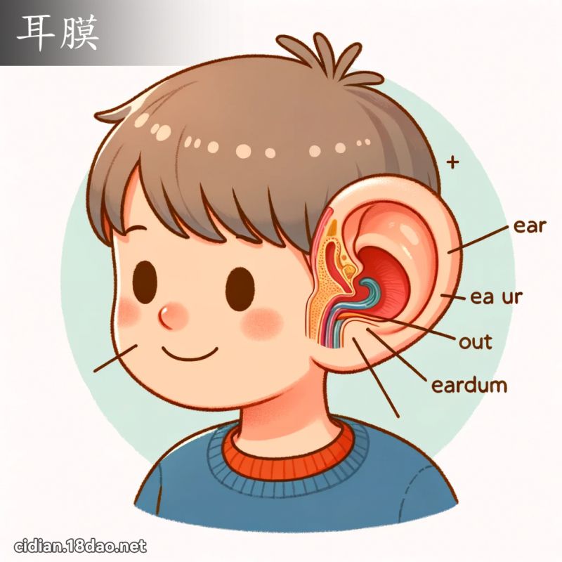 耳膜 - 国语辞典配图