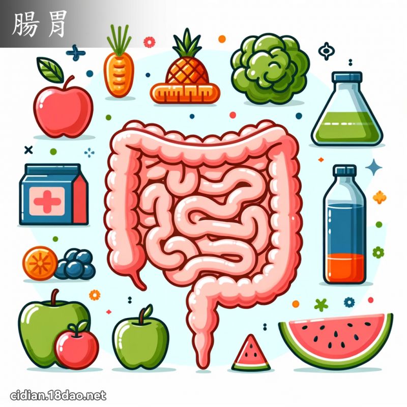 肠胃 - 国语辞典配图