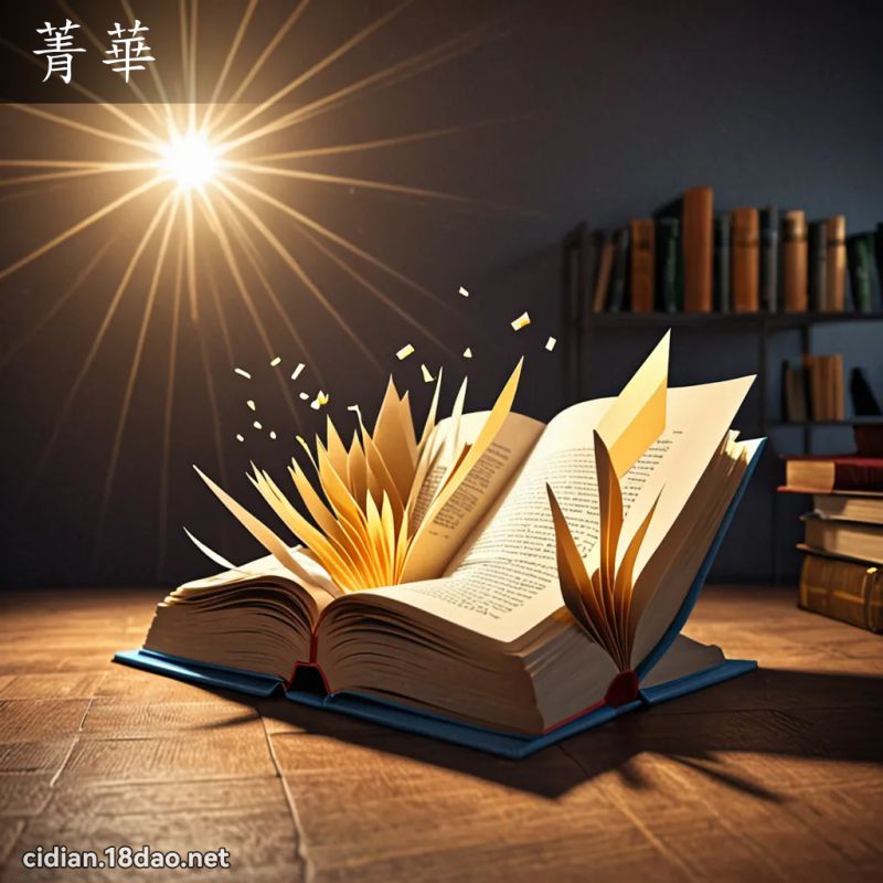 菁华 - 国语辞典配图