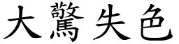 大惊失色 (楷体矢量字库)