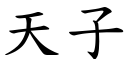 天子 (楷體矢量字庫)