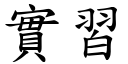 实习 (楷体矢量字库)