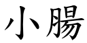 小腸 (楷體矢量字庫)