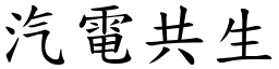 汽电共生 (楷体矢量字库)