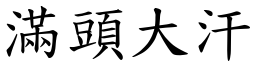 滿頭大汗 (楷體矢量字庫)