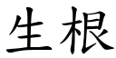 生根 (楷體矢量字庫)