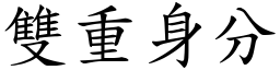 雙重身分 (楷體矢量字庫)