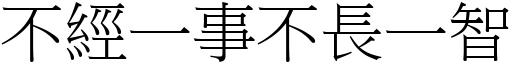 不经一事不长一智 (宋体矢量字库)