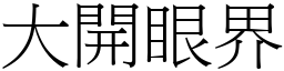 大開眼界 (宋體矢量字庫)