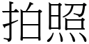 拍照 (宋体矢量字库)