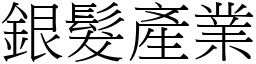 銀髮產業 (宋體矢量字庫)