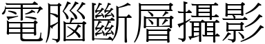 電腦斷層攝影 (宋體矢量字庫)