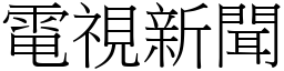 電視新聞 (宋體矢量字庫)